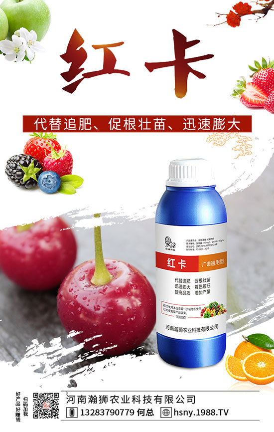 辣椒出苗后如何管理？辣椒出苗后移栽技術(shù)要點(diǎn)