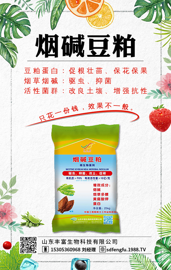 春紅薯什么時(shí)間種植？紅薯種植如何才能豐產(chǎn)呢？