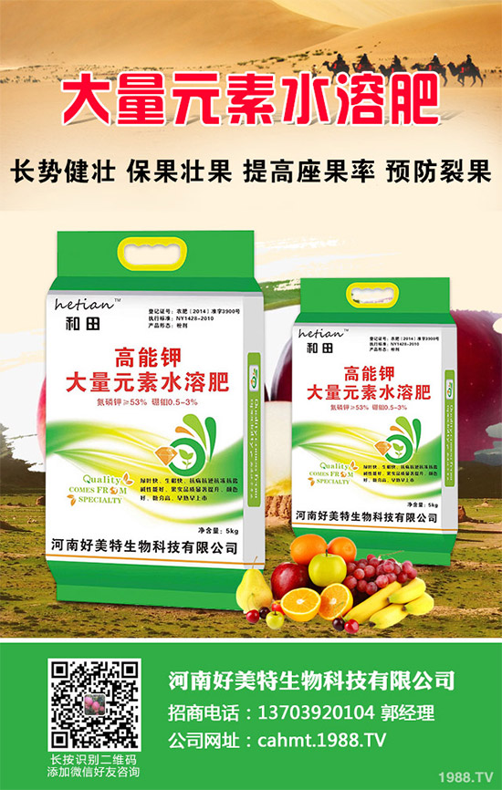 細(xì)香蔥如何種植才能高產(chǎn)？需要注意什么？這五個(gè)小技巧分享一下！