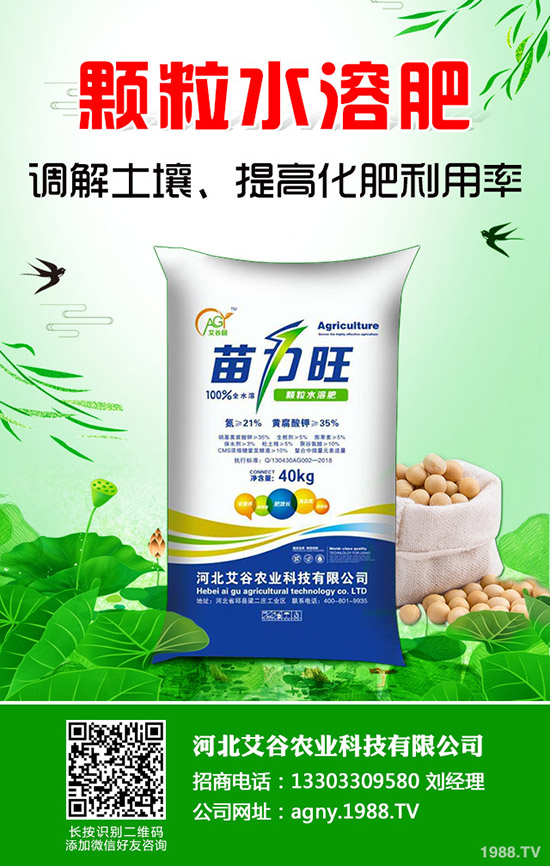 小麥?zhǔn)┓侍攸c(diǎn)及規(guī)律決定一季施幾次肥