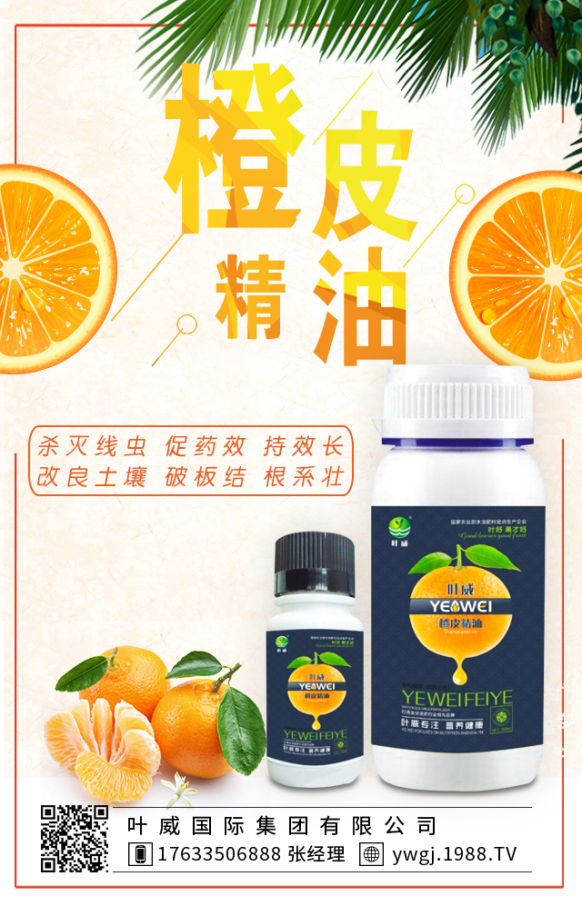 葉威國際集團(tuán)有限公司