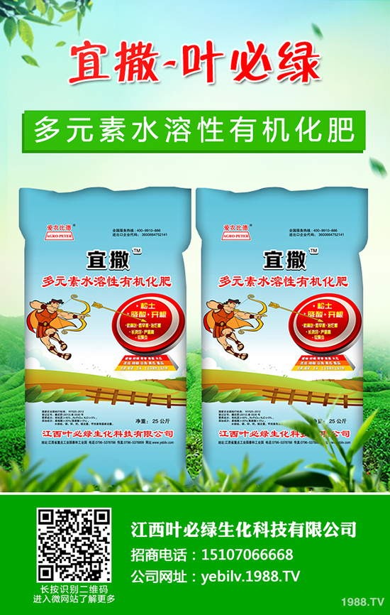 葫蘆種子怎么種 葫蘆種子催芽方法有哪些？