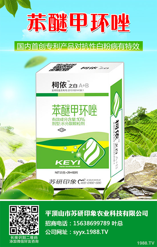     ��ذl(f��)�F(xi��n)���Ծ�������(y��ng)���赾��������(du��)뿾����Ŀ�ˎ�Ԇ�(w��n)�}