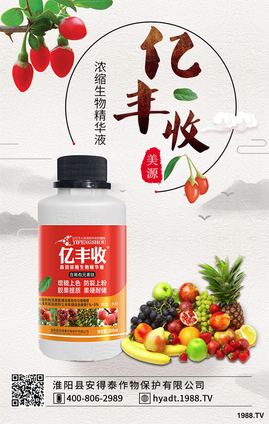 西葫蘆栽培品種有哪些？ 西葫蘆的生長(zhǎng)習(xí)性！