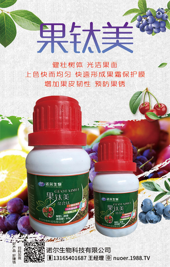 西葫蘆在什么時間種植？西葫蘆種植技巧有哪些？