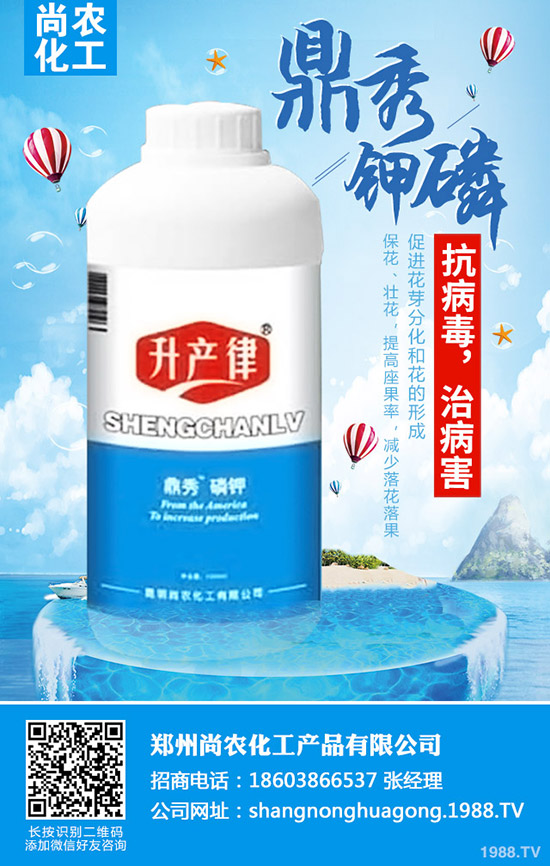     甘藍(lán)不結(jié)球怎么辦，甘藍(lán)不結(jié)球原因及防治措施！