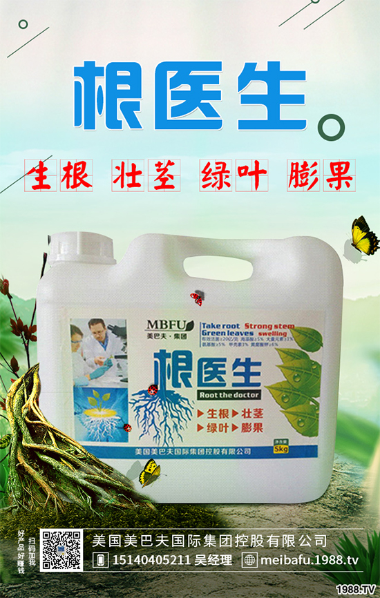 春花生什么時候播種？春花生的播種時間及注意事項