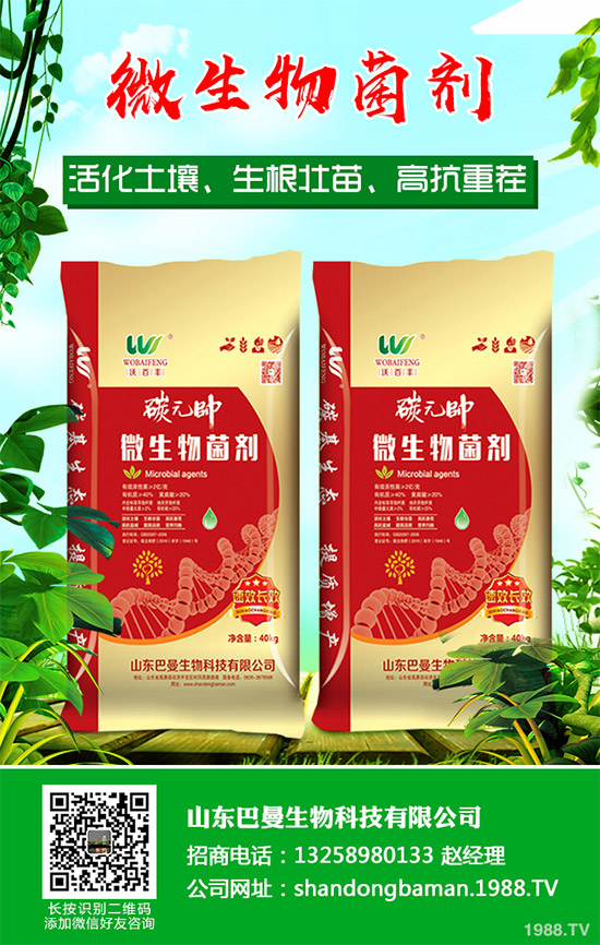春花生播種后爛種是啥原因？該如何預(yù)防？農(nóng)民們必看的增產(chǎn)高產(chǎn)方案！