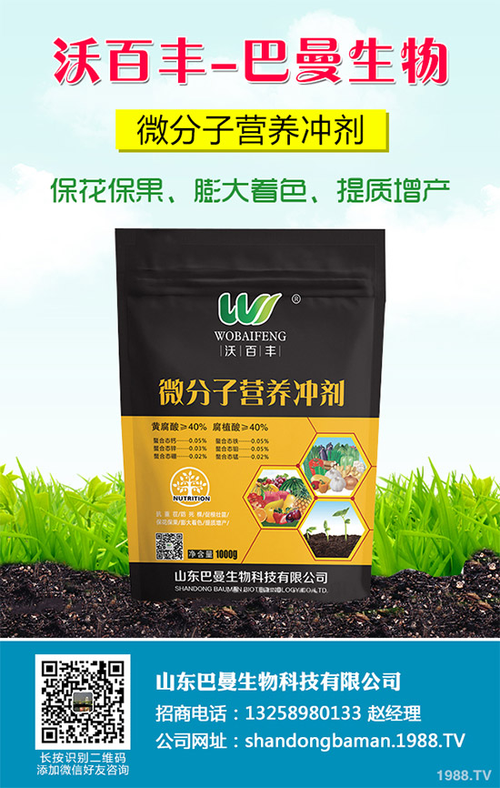 春花生播種的常見誤區(qū)，不少農戶犯過錯（附解決方案）