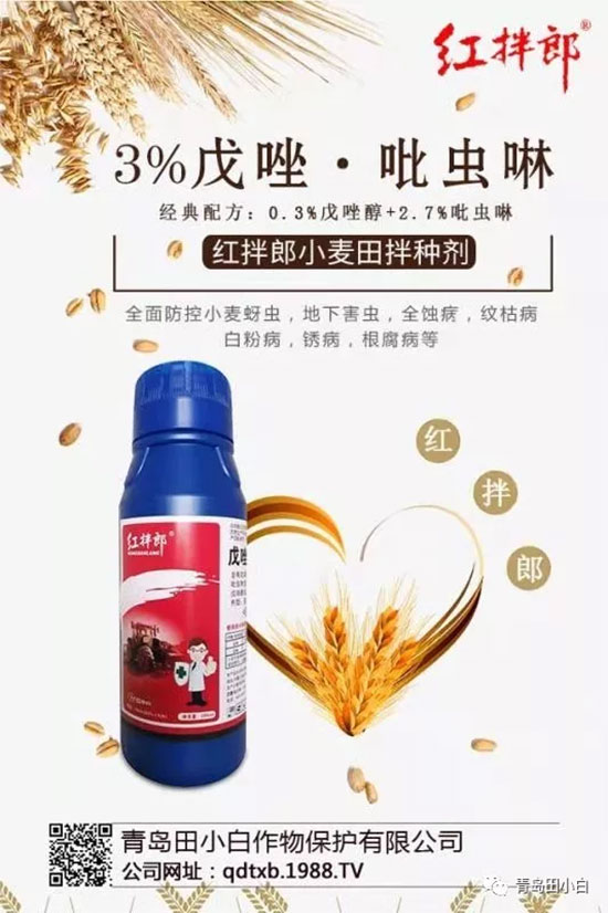 玉米為什么要拌種？玉米二次拌種及注意事項(xiàng)！