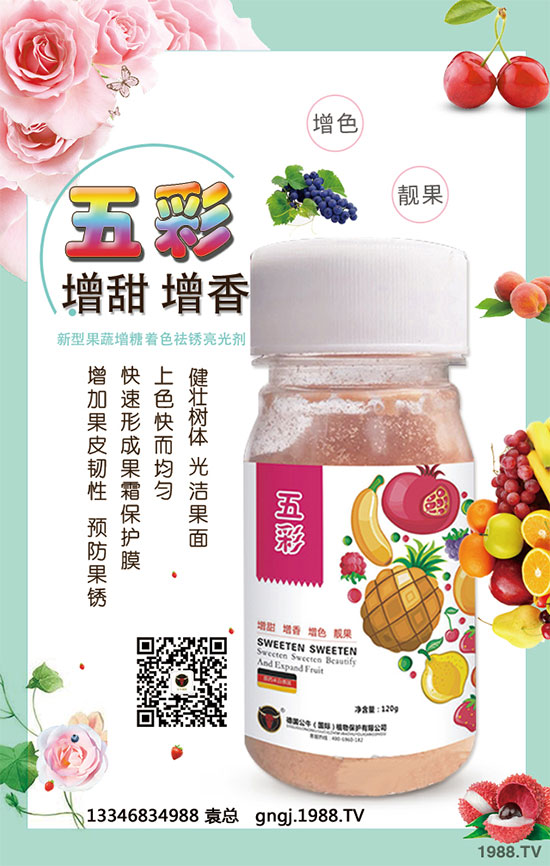 如何因地因品種確定玉米種植行距？玉米株距多遠(yuǎn)才是科學(xué)的？