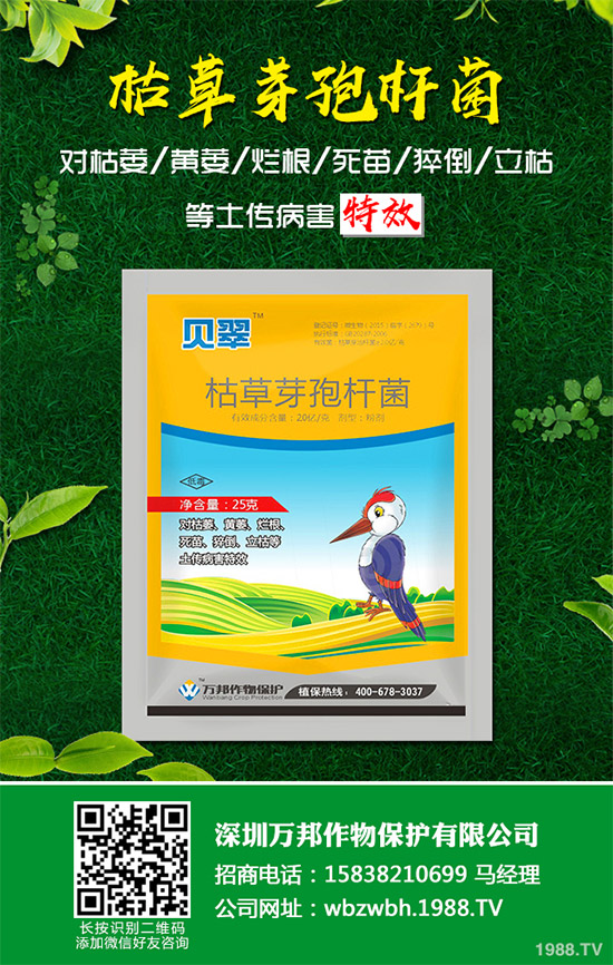 小麥赤霉病藥劑防治效果，有了新變化！