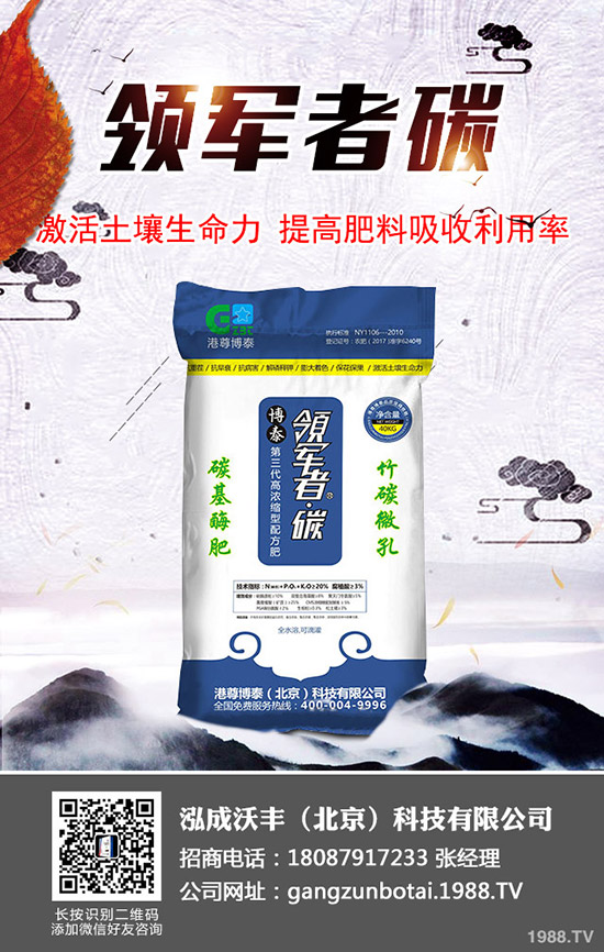 大棚土豆種植更高溫度多少？大棚馬鈴薯如何種植效益高？