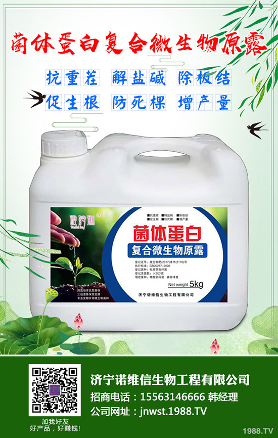 大豆施用硼肥有哪些好處？大豆施用硼肥的技術(shù)！