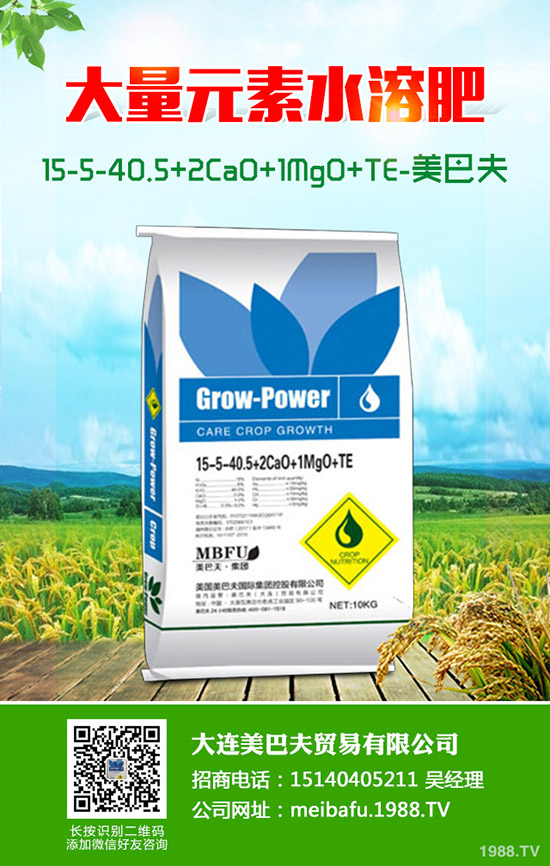     小麥灌漿期比較常發(fā)生病蟲害有哪些？小麥灌漿期如何管理？注意事項(xiàng)了解么？