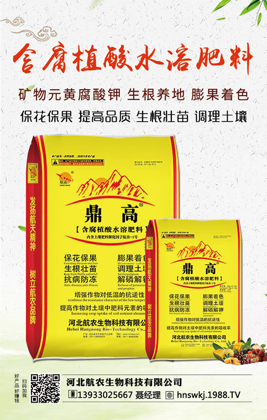 西瓜枯萎病如何防治？西瓜枯萎病和青枯病的區(qū)分！