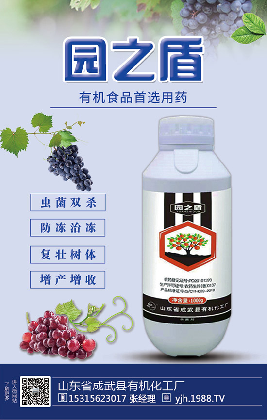 甘蔗需肥特性，甘蔗施肥技術(shù)和要點(diǎn)！