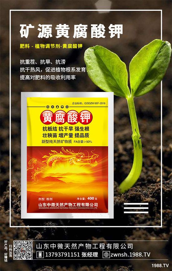 ������ԓ��η�ֳ�������ǵķ�ֳ���g(sh��)�������