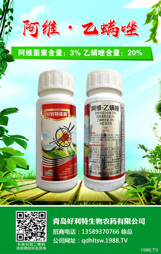 卷心菜能在陽(yáng)臺(tái)上種植中嗎？卷心菜家庭種植技術(shù)要點(diǎn)