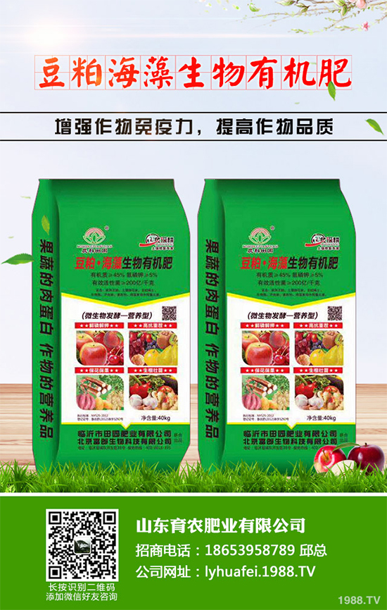 ��z�ʾ�ԓ���������������ࣿ��z�ʾո߮a(ch��n)�������