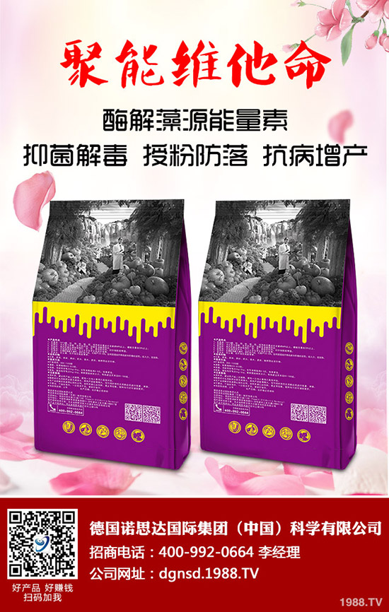 密本南瓜怎么種植？密本南瓜的栽培技術(shù)要點(diǎn)與方法！