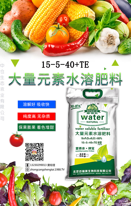 仙人球這樣養(yǎng)才不會死！金琥繁殖及栽培養(yǎng)殖管理！