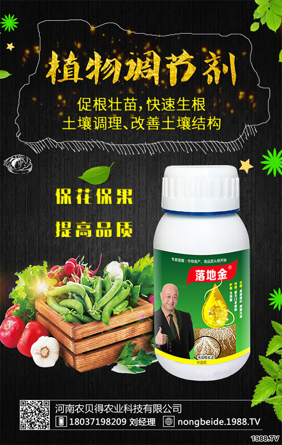 小香芹有哪些食用價值？小香芹的形態(tài)特征！