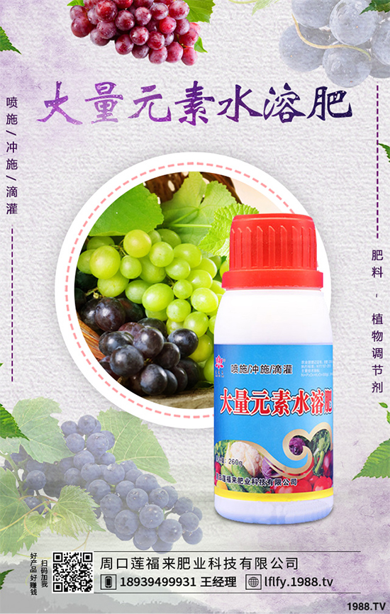 皂莢刺多少錢一斤？種植前景如何？中藥材的效益分析