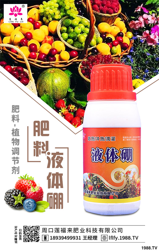 皂莢樹有哪些用途？該如何栽培？皂莢樹的栽培管理技術(shù)