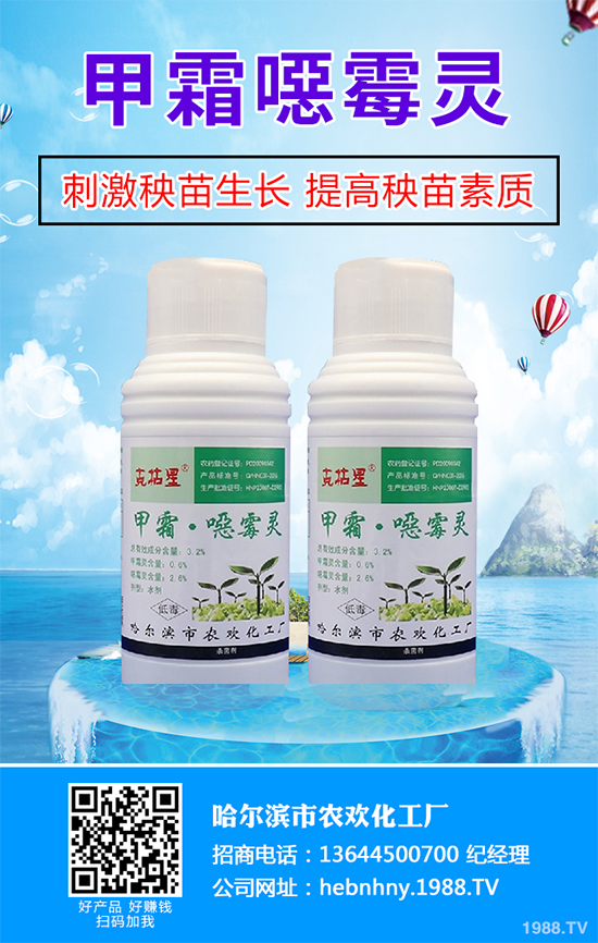 ���򡰡��İ�˹�򚢾����ȷ��Ѿ��򼴌����҇�(gu��)����