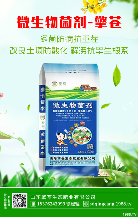     2020年4月3日復(fù)合肥市場(chǎng)行情保持穩(wěn)定態(tài)勢(shì)！最新后市預(yù)測(cè)！