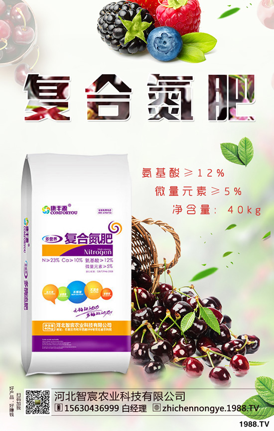 蘋果樹施肥過程中應(yīng)該注意哪些問題