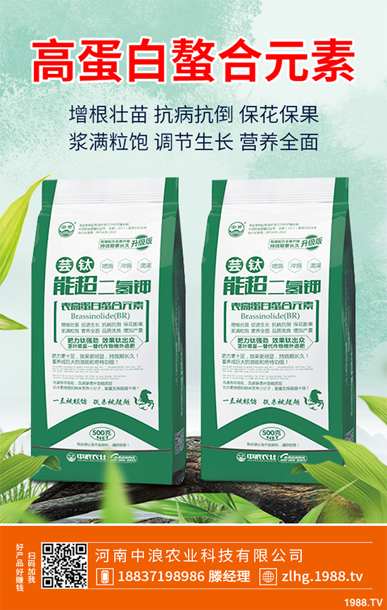 山楂什么時(shí)候種植？山楂樹高產(chǎn)種植方案