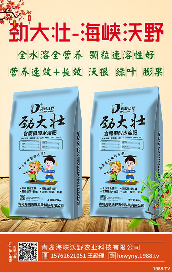 2020年黃精種植前景如何？如何種植才能獲得更高的經(jīng)濟收入？