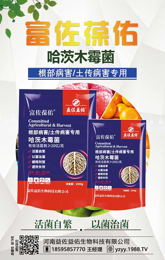 芋頭都有什么營養(yǎng)價(jià)值？吃芋頭有什么好處？