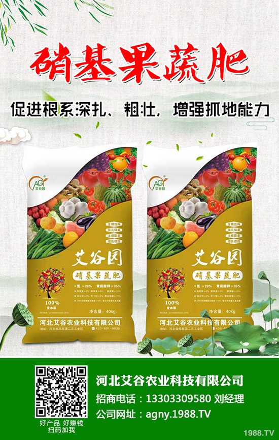     五一假期后，鉀肥行情開始回轉(zhuǎn)！2020年5月11日最新鉀肥價格早報！