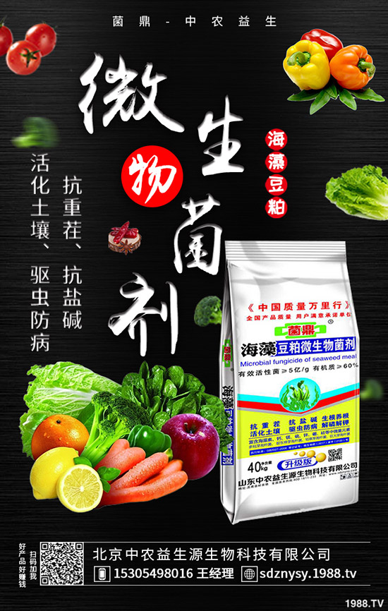     二銨市場(chǎng)整體表現(xiàn)平靜！2020-5-12最新磷酸二銨價(jià)格行情分析！