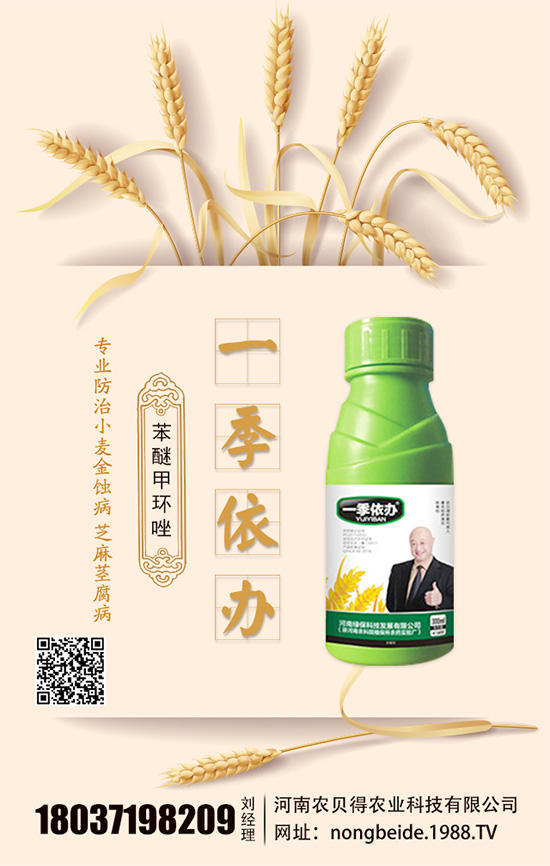 水培白掌怎么養(yǎng)？水培水培注意要點！