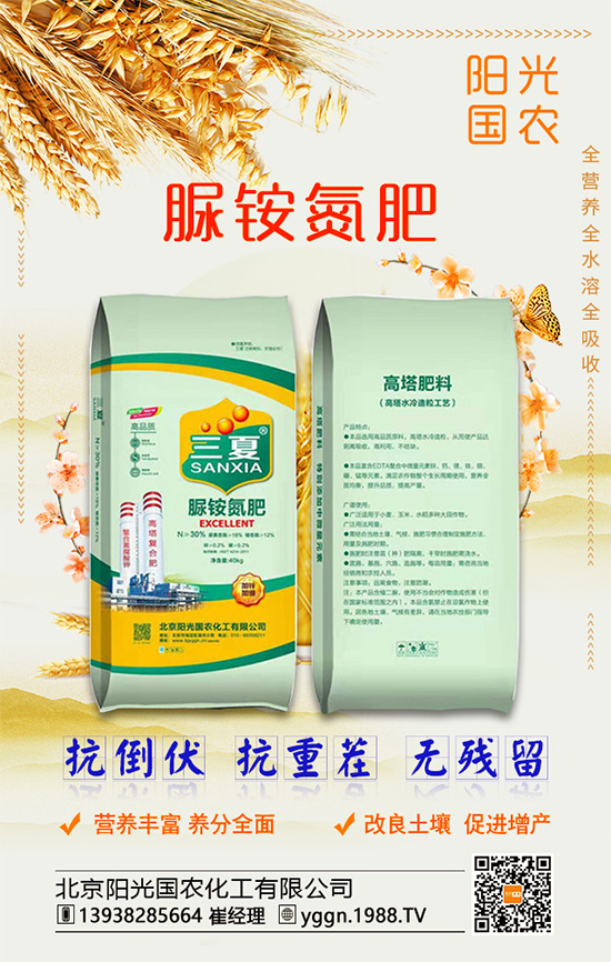 白掌怎么養(yǎng)殖好？水培白掌需要多久才能換水？