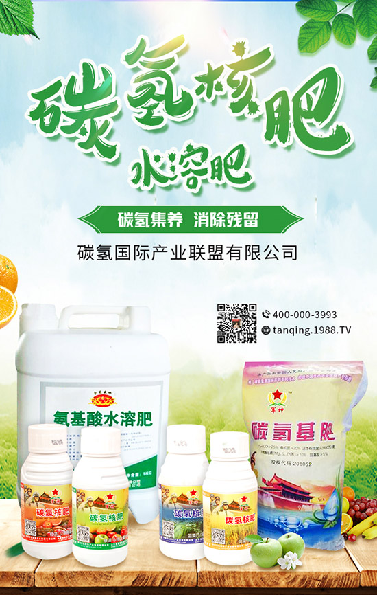     5月可以種什么菜？5月蔬菜種植指南及防注意事項(xiàng)！