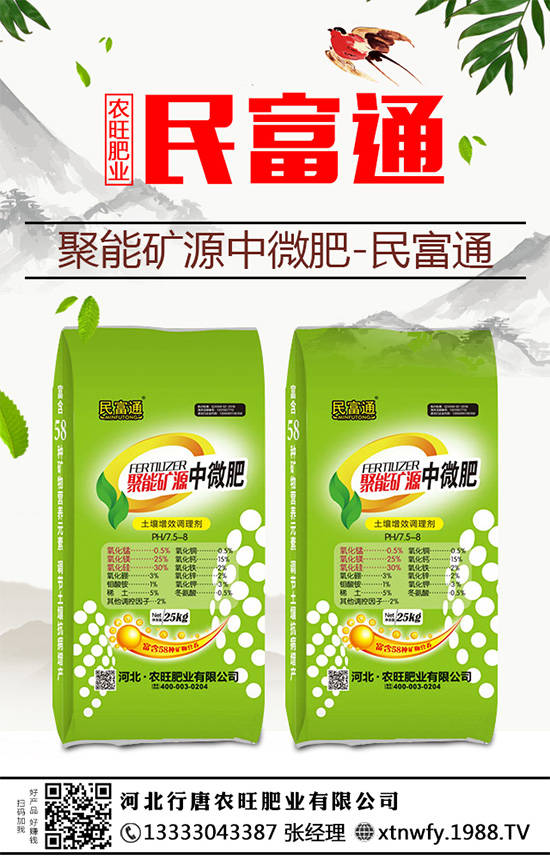 生姜重茬種植危害大，到底是如何引起的？該與哪些作物輪作呢？