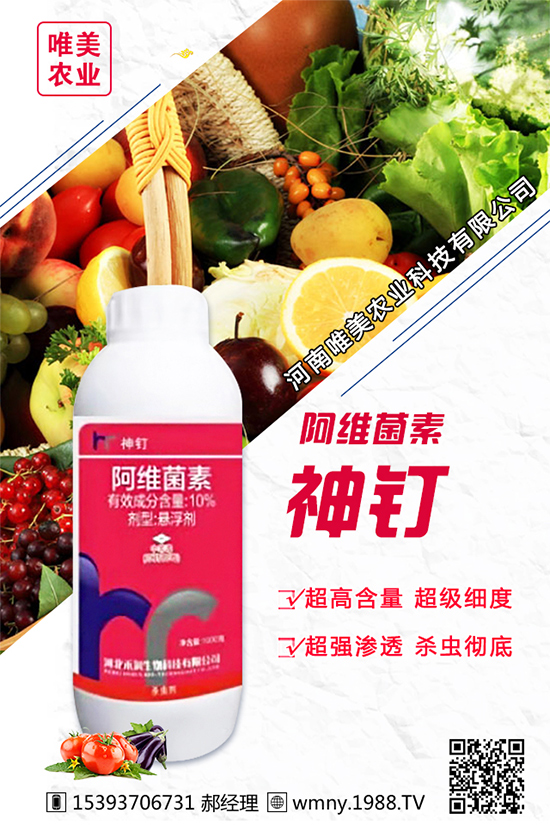 洋蔥的栽培品種有哪些？種植洋蔥對環(huán)境條件的要求！