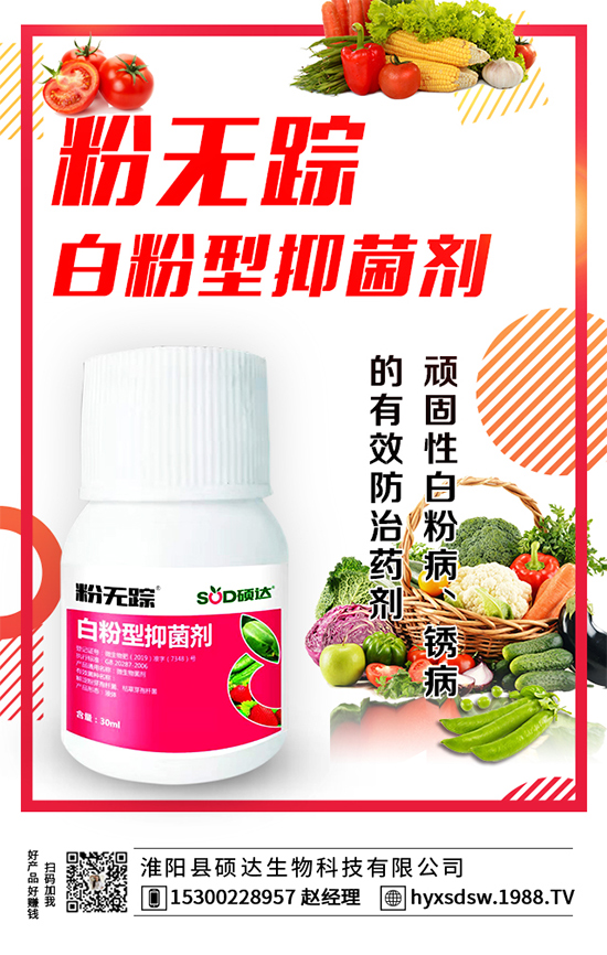 ������ô�Nֲ�������Nֲ���g(sh��)Ҫ�c��