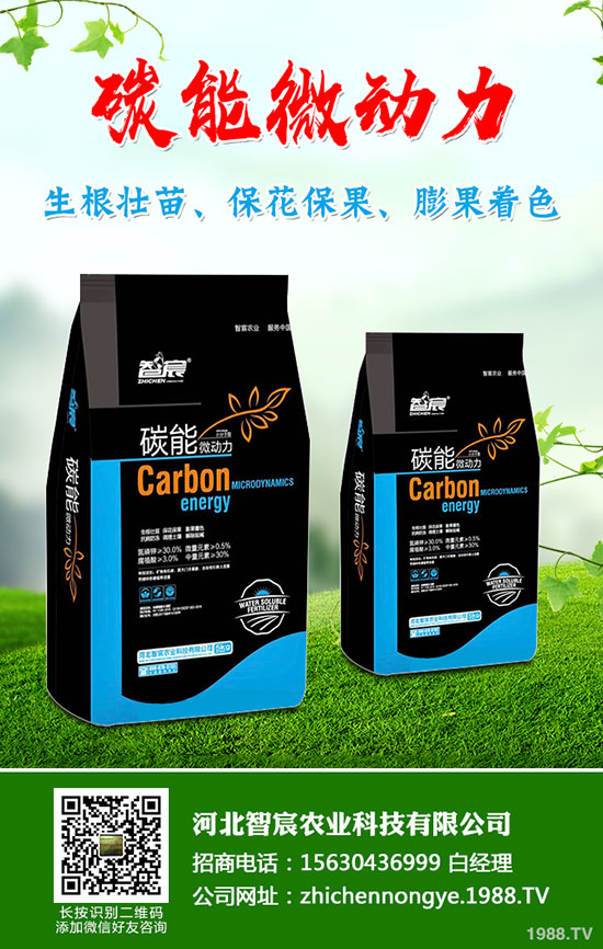 5月國內(nèi)磷肥市場何去何從？最新一銨二銨價格行情走勢預測！