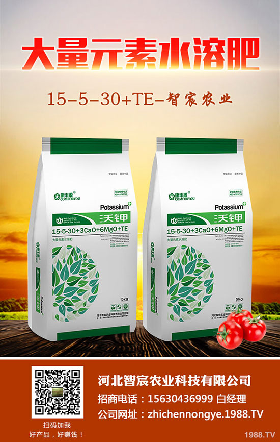 ����F��ô�B(y��ng)������F���B(y��ng)ֳ������ע�����