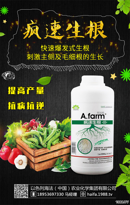 葡萄裂果是啥原因？該如何預(yù)防？葡萄裂果的原因和防治方法