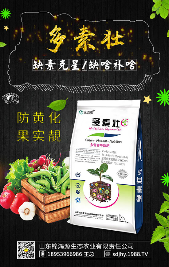 火龍果育苗方法有哪些，火龍果育苗要點(diǎn)及苗期管理！