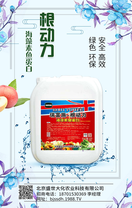 杏樹怎么育苗定植？如何培育杏苗進行嫁接？