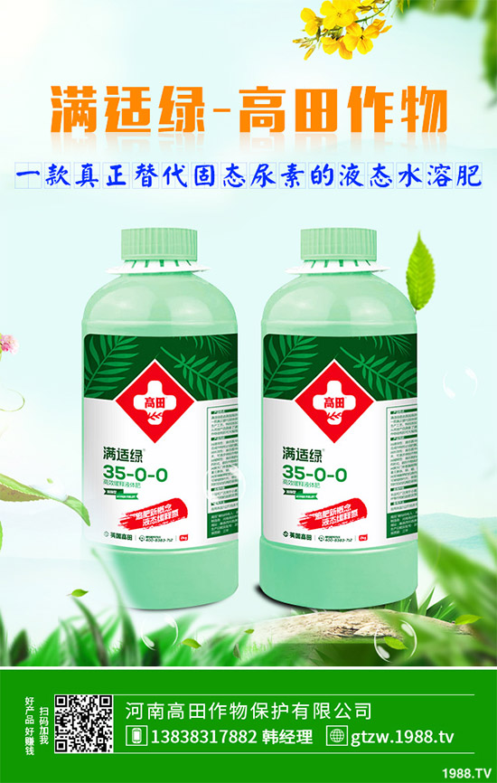 草珊瑚有哪些神奇功效？中藥材草珊瑚的作用及功效！