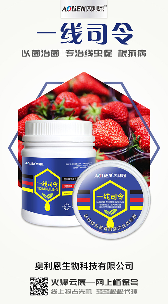 香瓜育苗期的水肥管理，香瓜施肥的注意事項！